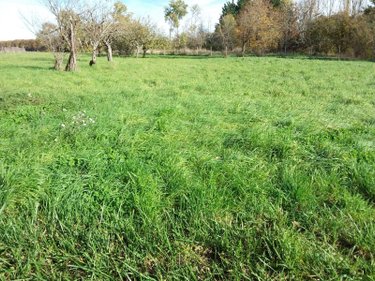 Terrain a batir a vendre Fougères-sur-Bièvre 41120 Loir-et-Cher 1470 m2  33600 euros