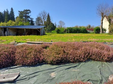 Maison a vendre Condé-sur-Vire 50890 Manche 130 m2 7 pièces 283500 euros