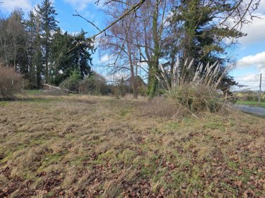 Terrain a batir a vendre Saint-Georges-Buttavent 53100 Mayenne 1000 m2  20500 euros