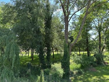 Maison a vendre Neufchâtel-en-Bray 76270 Seine-Maritime 101 m2 4 pièces 146300 euros