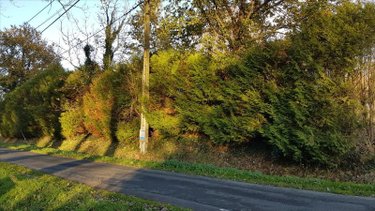 Terrain a batir a vendre Clefs 49150 Maine-et-Loire 1679 m2  45024 euros