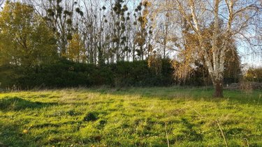 Terrain a batir a vendre Clefs 49150 Maine-et-Loire 1679 m2  45024 euros