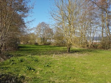 Terrains de loisirs bois etangs a vendre La Flèche 72200 Sarthe 675 m2  18000 euros