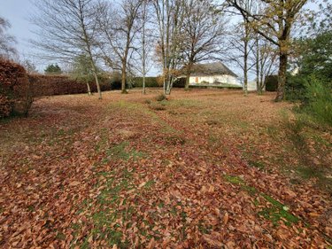 Terrain a batir a vendre Meymac 19250 Corrèze 950 m2  20000 euros