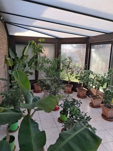 Maison a vendre Brouckerque 59630 Nord 132 m2 6 pièces 270400 euros