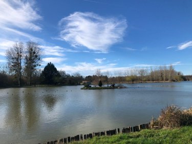 Maison a vendre Saint-Georges-sur-Arnon 36100 Indre 67 m2  65720 euros