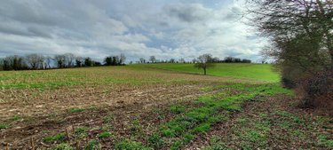 Bien agricole a vendre Nuillé-sur-Vicoin 53970 Mayenne  379600 euros