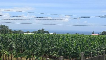 Maison a vendre Capesterre-Belle-Eau 97130 Guadeloupe 130 m2 7 pièces 318000 euros