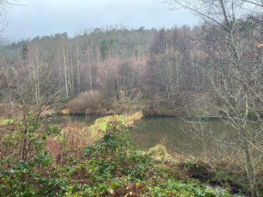 propriete a vendre Épinal 88000 Vosges 24071 m2  335000 euros