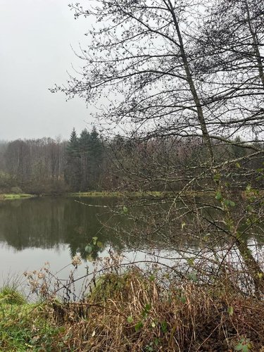 propriete a vendre Épinal 88000 Vosges 24071 m2  335000 euros