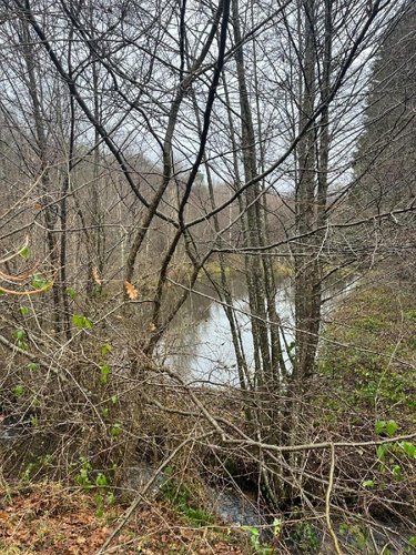 propriete a vendre Épinal 88000 Vosges 24071 m2  335000 euros