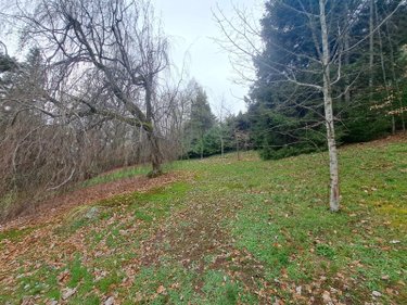 Maison a vendre Gérardmer 88400 Vosges 140 m2 7 pièces 1040000 euros