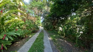 propriete a vendre Deshaies 97126 Guadeloupe 312 m2 9 pièces 1195000 euros