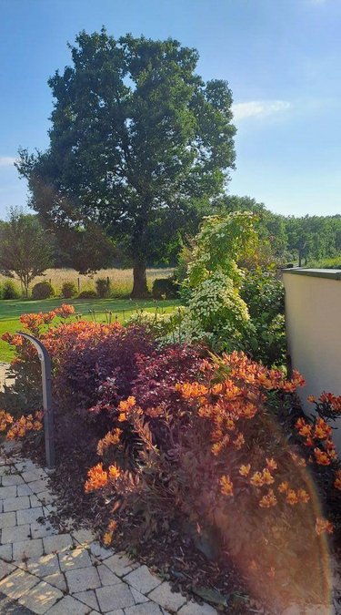 Maison a vendre Québriac 35190 Ille-et-Vilaine 131 m2 6 pièces 355300 euros