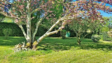 Maison a vendre Bouliac 33270 Gironde 267 m2 8 pièces 645000 euros