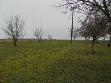 Maison a vendre Josnes 41370 Loir-et-Cher 350 m2 7 pièces 377800 euros