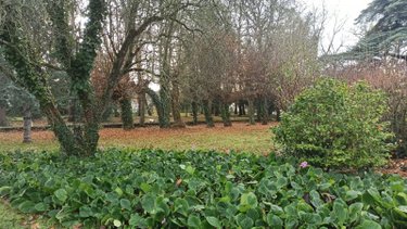 Appartement a vendre Saint-Malo 35400 Ille-et-Vilaine 54 m2 2 pièces 165850 euros