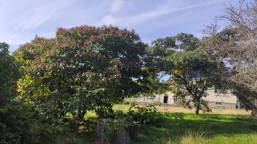 Maison a vendre Bubry 56310 Morbihan 89 m2 7 pièces 146000 euros