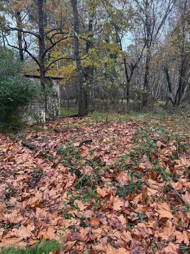 Maison a vendre Hourtin 33990 Gironde 150 m2 6 pièces 168000 euros