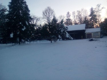 Terrain a batir a vendre Montigny-le-Gannelon 28220 Eure-et-Loir 5727 m2  42000 euros