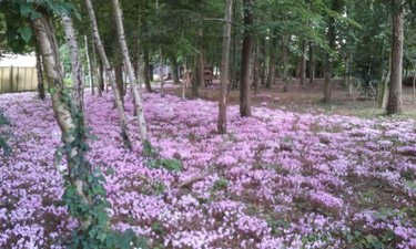 Terrain a batir a vendre Montigny-le-Gannelon 28220 Eure-et-Loir 5727 m2  42000 euros