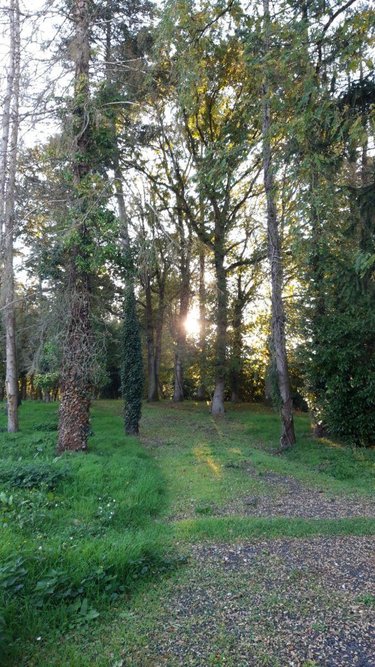 Terrain a batir a vendre Montigny-le-Gannelon 28220 Eure-et-Loir 5727 m2  55000 euros