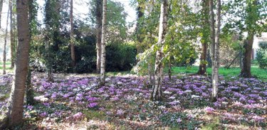 Terrain a batir a vendre Montigny-le-Gannelon 28220 Eure-et-Loir 5727 m2  55000 euros