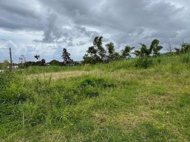 Terrain a batir a vendre Saint-Denis 97400 Réunion 325 m2  139100 euros