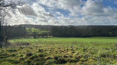 Maison a vendre Carentoir 56910 Morbihan 119 m2 5 pièces 167680 euros