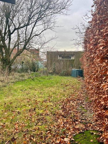 Maison a vendre Bailleul 59270 Nord 78 m2 4 pièces 239500 euros