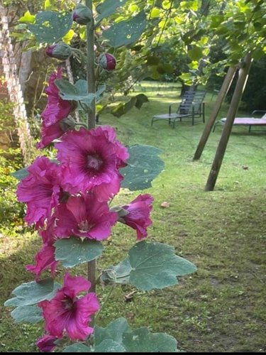 Maison a vendre Nogent-le-Rotrou 28400 Eure-et-Loir 209 m2 6 pièces 367500 euros