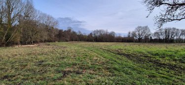 Terrains de loisirs bois etangs a vendre Saint-Aubin-des-Coudrais 72400 Sarthe 26428 m2  14640 euros
