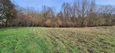 Terrains de loisirs bois etangs a vendre Saint-Aubin-des-Coudrais 72400 Sarthe 26428 m2  14640 euros