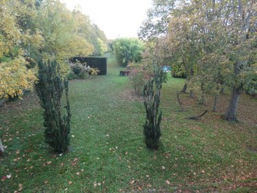 Maison a vendre Cellule 63200 Puy-de-Dôme 300 m2 12 pièces 595000 euros