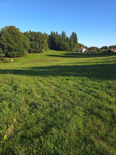 Terrain a batir a vendre Bonnac-la-Côte 87270 Haute-Vienne 1400 m2  35000 euros