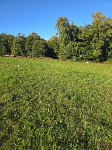 Terrain a batir a vendre Bonnac-la-Côte 87270 Haute-Vienne 1400 m2  35000 euros