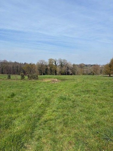 Terrains de loisirs bois etangs a vendre Lassy 35580 Ille-et-Vilaine 9410 m2  13000 euros