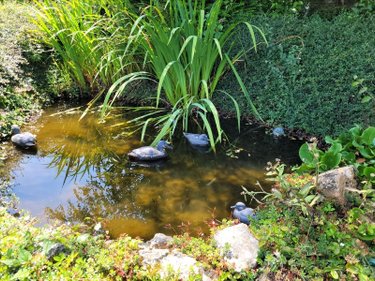 Maison a vendre Saint-Ouen-du-Tilleul 27670 Eure 222 m2 6 pièces 299250 euros