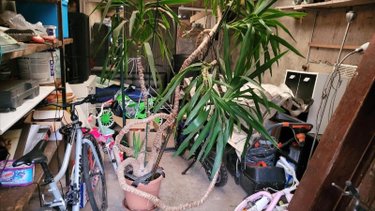 Maison a vendre Elbeuf 76500 Seine-Maritime 53 m2 2 pièces 136500 euros