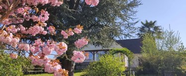 Maison a vendre Wormhout 59470 Nord 98 m2 5 pièces 276000 euros