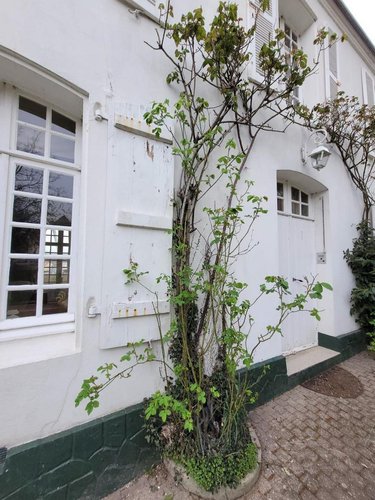 Maison a vendre Neufchâtel-Hardelot 62152 Pas-de-Calais 268 m2 10 pièces 707200 euros