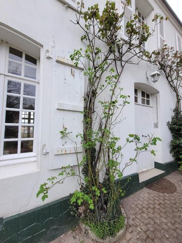 Maison a vendre Samer 62830 Pas-de-Calais 268 m2 10 pièces 644700 euros