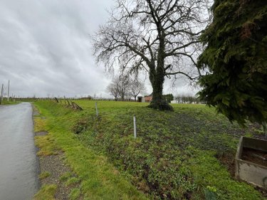 Maison a vendre Saint-Senier-de-Beuvron 50240 Manche 67 m2 5 pièces 84270 euros