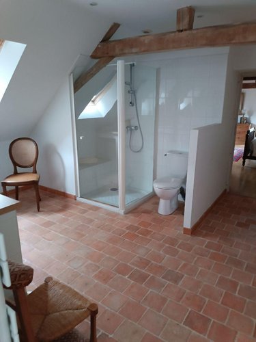 Viager maison La Flèche 72200 Sarthe 183 m2 8 pièces 87327 euros