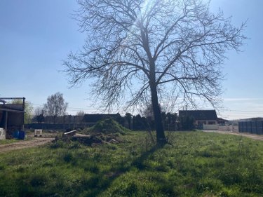 Divers a vendre Éclaron Braucourt Sainte Livière 52290 Haute-Marne 387 m2  173000 euros