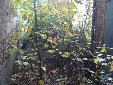 Immeuble a vendre Raon-l'Étape 88110 Vosges 135 m2  62000 euros