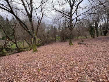 Maison a vendre Couzeix 87270 Haute-Vienne 117 m2 5 pièces 149450 euros