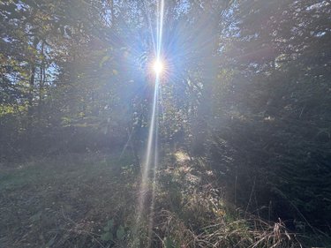 Maison a vendre Champsac 87230 Haute-Vienne 107 m2 3 pièces 96950 euros