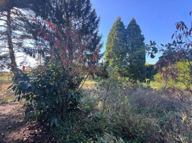 Maison a vendre Champsac 87230 Haute-Vienne 107 m2 3 pièces 96950 euros