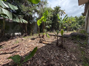 Maison a vendre Saint-André 97440 Réunion 68 m2 3 pièces 102600 euros